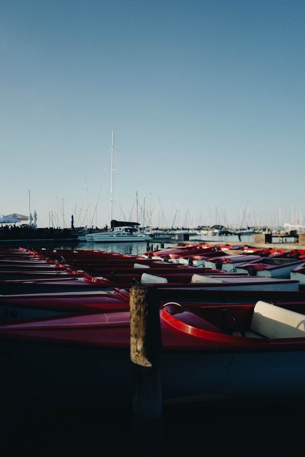 LAKE SIDE | late summer golden hours